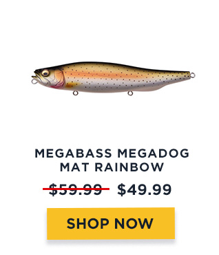 Megabass Megadog - Mat Rainbow