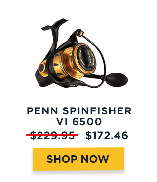 Penn Spinfisher VI 6500