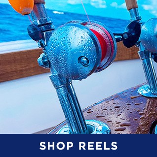 shop reels