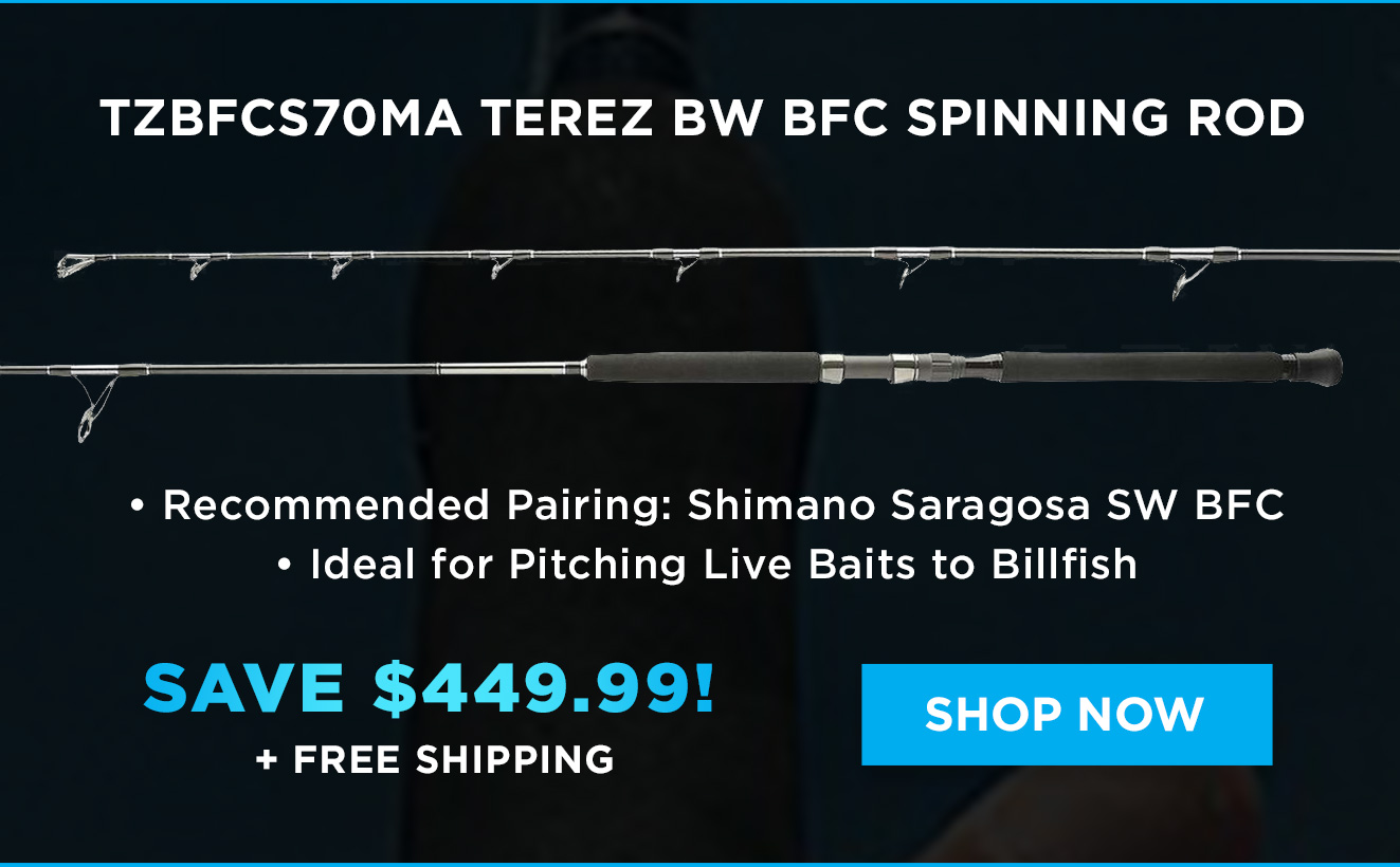 Terez BW BFC Spinning Rod