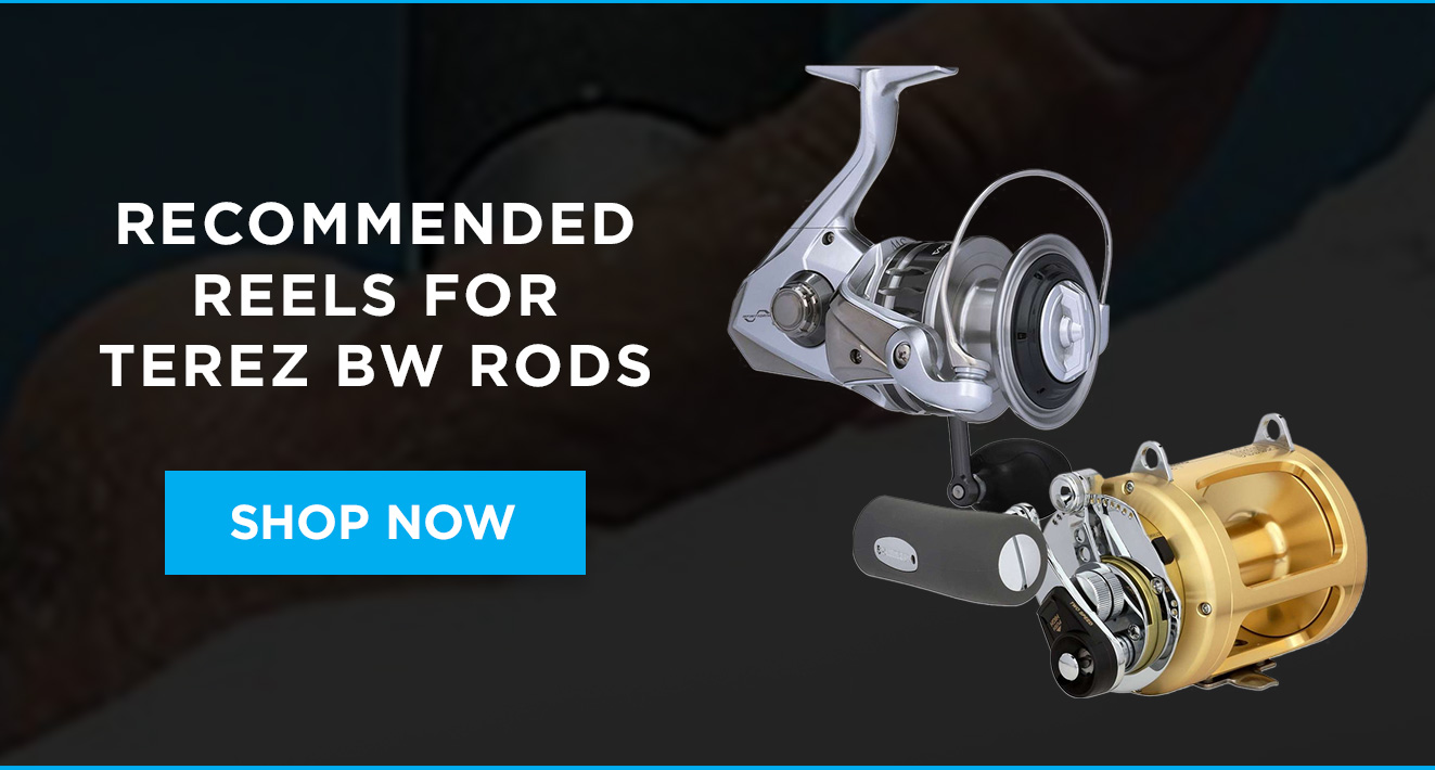 Recommended Reels for Terez BW Rods