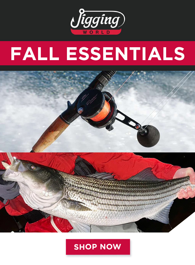 Shop Jigging World Fall Essentials