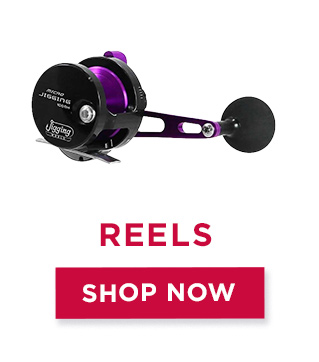 Shop Reels