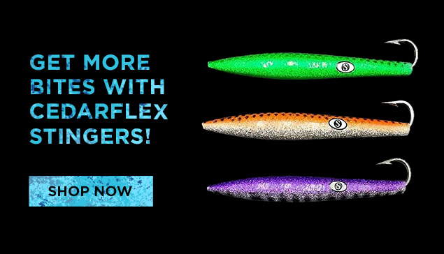 Get More Bites With CedarFlex Stingers!